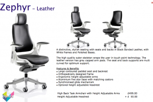 Dynamic Zephyr Leather Armchair